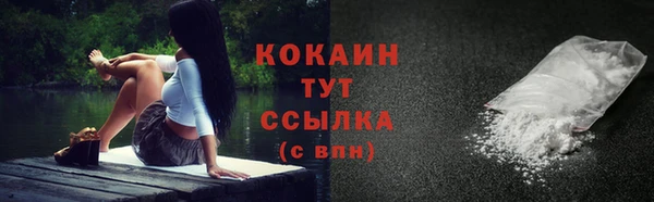 твердый Горно-Алтайск