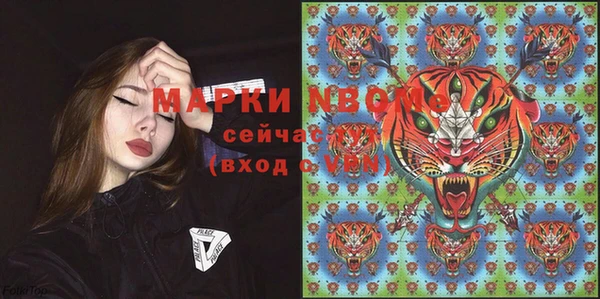 твердый Горно-Алтайск