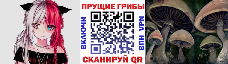 Псилоцибиновые грибы Magic Shrooms  Москва 