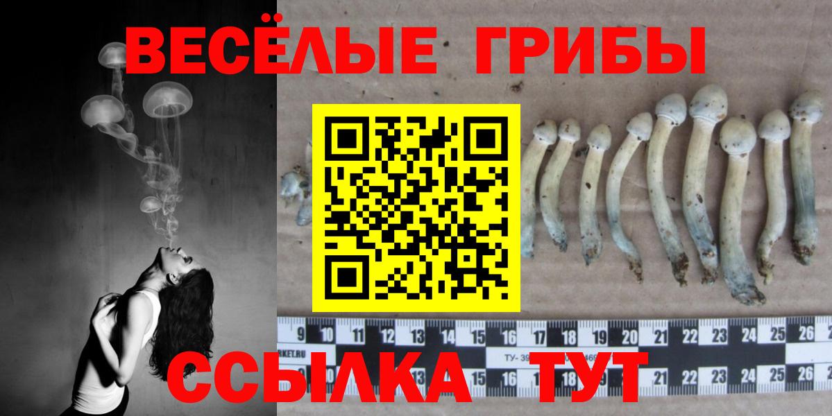 Москва  Псилоцибиновые грибы Psilocybine cubensis  Вход с VPN 